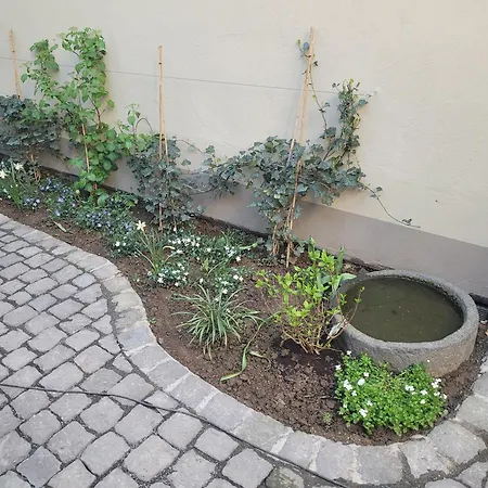 Apartment Mayener Jung *